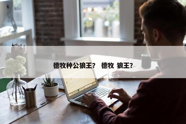 德牧种公狼王？ 德牧 狼王？