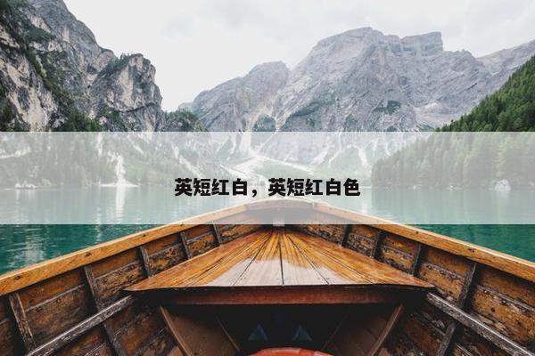 英短红白，英短红白色