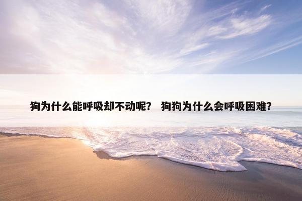 狗为什么能呼吸却不动呢？ 狗狗为什么会呼吸困难？