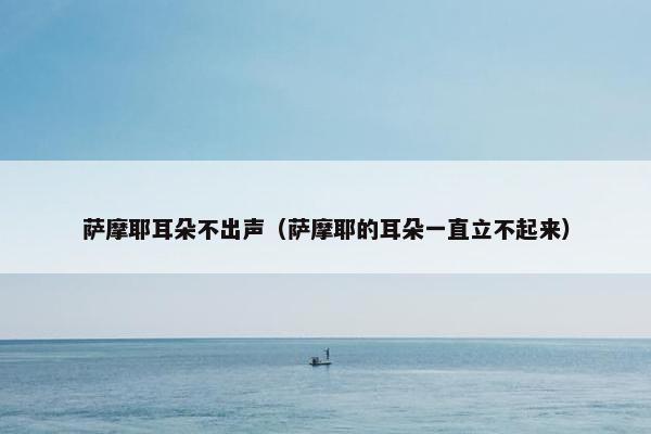 萨摩耶耳朵不出声（萨摩耶的耳朵一直立不起来）