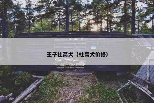 王子杜高犬（杜高犬价格）