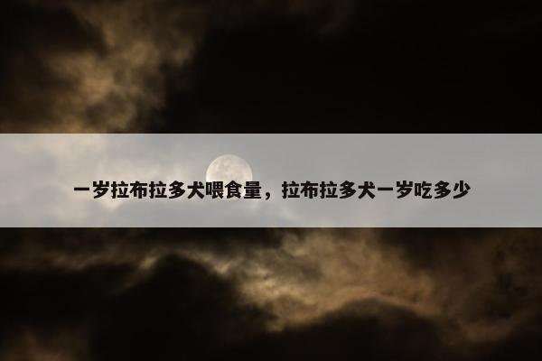 一岁拉布拉多犬喂食量，拉布拉多犬一岁吃多少