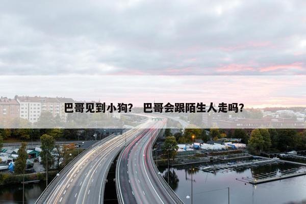 巴哥见到小狗？ 巴哥会跟陌生人走吗？