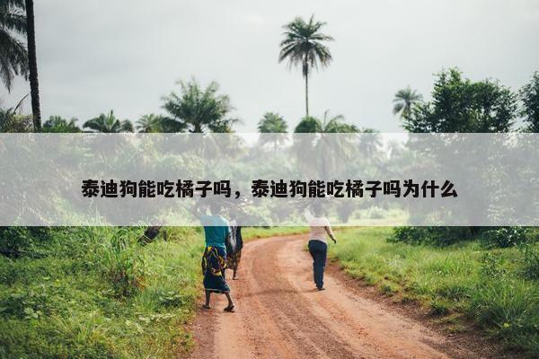 泰迪狗能吃橘子吗，泰迪狗能吃橘子吗为什么