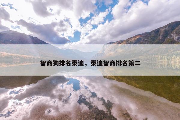 智商狗排名泰迪，泰迪智商排名第二