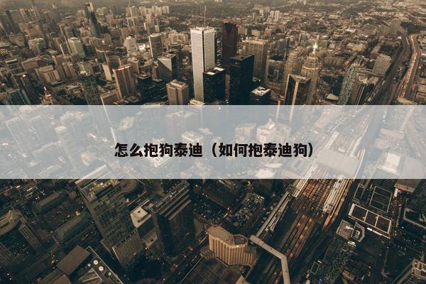 怎么抱狗泰迪（如何抱泰迪狗）