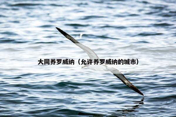 大同养罗威纳（允许养罗威纳的城市）