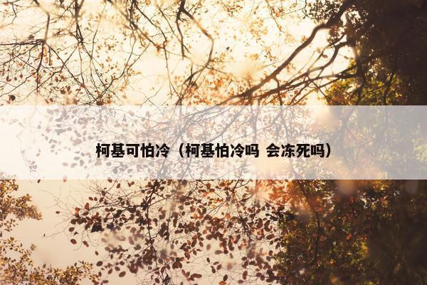 柯基可怕冷（柯基怕冷吗 会冻死吗）