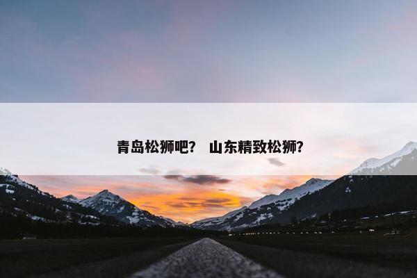 青岛松狮吧？ 山东精致松狮？