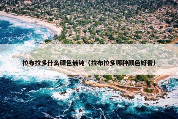 拉布拉多什么颜色最纯（拉布拉多哪种颜色好看）