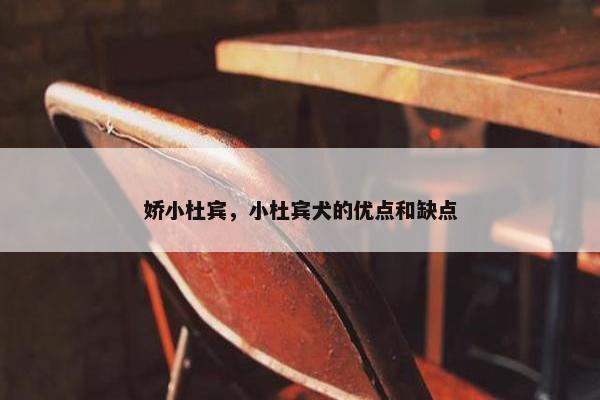 娇小杜宾，小杜宾犬的优点和缺点