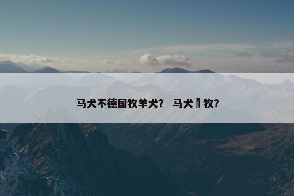 马犬不德国牧羊犬？ 马犬徳牧？