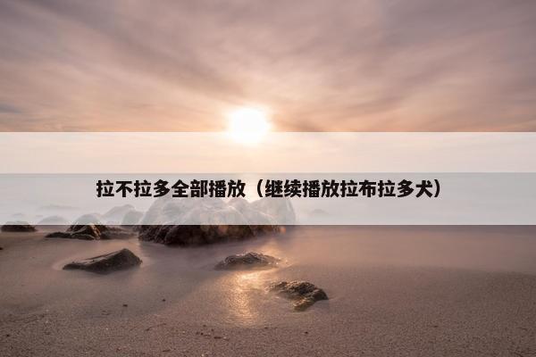 拉不拉多全部播放（继续播放拉布拉多犬）