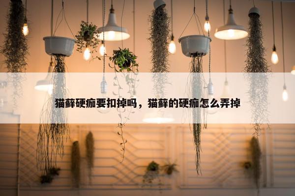 猫藓硬痂要扣掉吗，猫藓的硬痂怎么弄掉