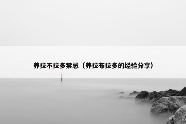 养拉不拉多禁忌（养拉布拉多的经验分享）
