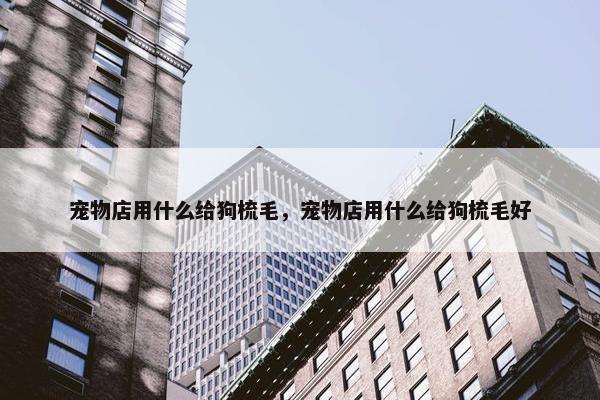 宠物店用什么给狗梳毛，宠物店用什么给狗梳毛好