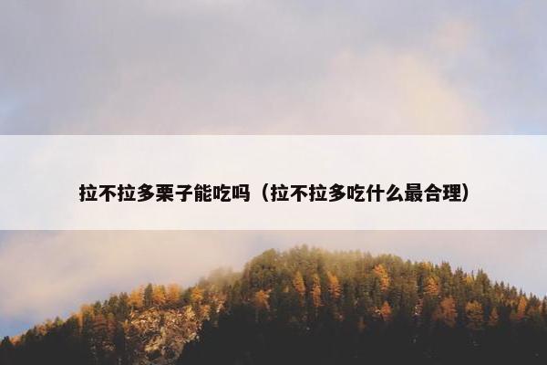 拉不拉多栗子能吃吗（拉不拉多吃什么最合理）