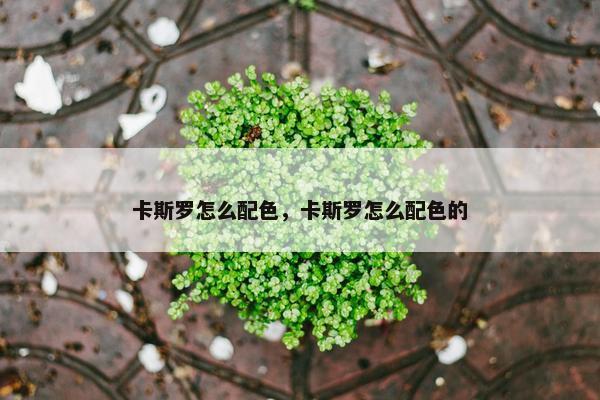 卡斯罗怎么配色，卡斯罗怎么配色的