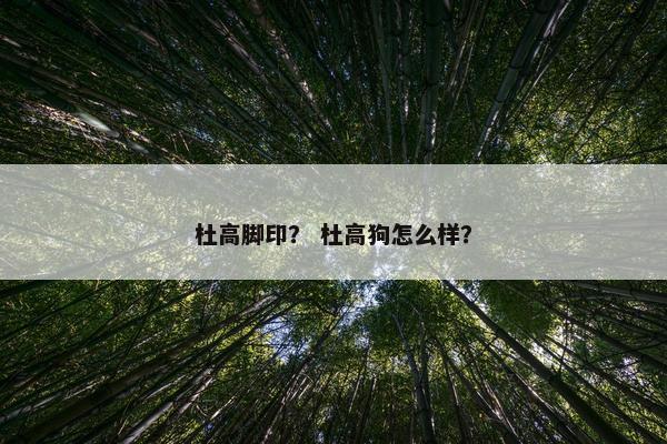 杜高脚印？ 杜高狗怎么样？