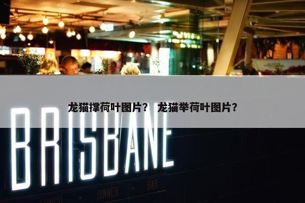 龙猫撑荷叶图片？ 龙猫举荷叶图片？