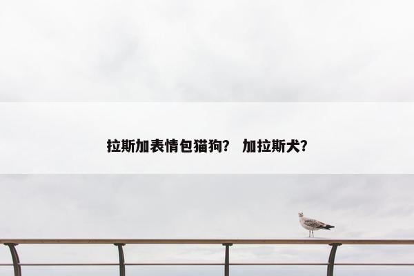 拉斯加表情包猫狗？ 加拉斯犬？