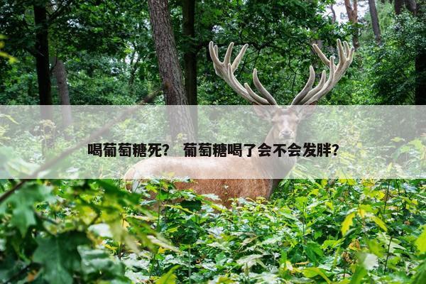 喝葡萄糖死？ 葡萄糖喝了会不会发胖？