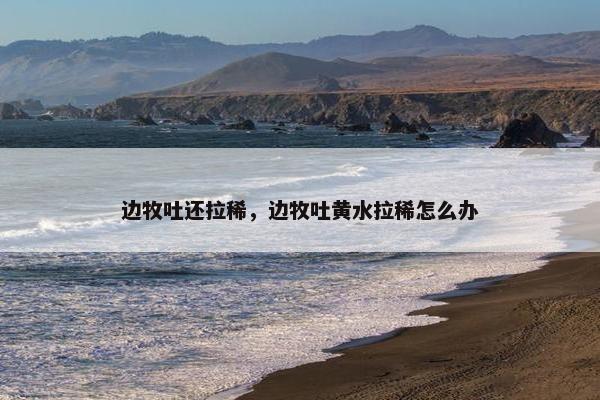 边牧吐还拉稀，边牧吐黄水拉稀怎么办