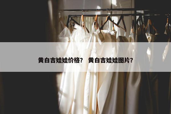 黄白吉娃娃价格？ 黄白吉娃娃图片？