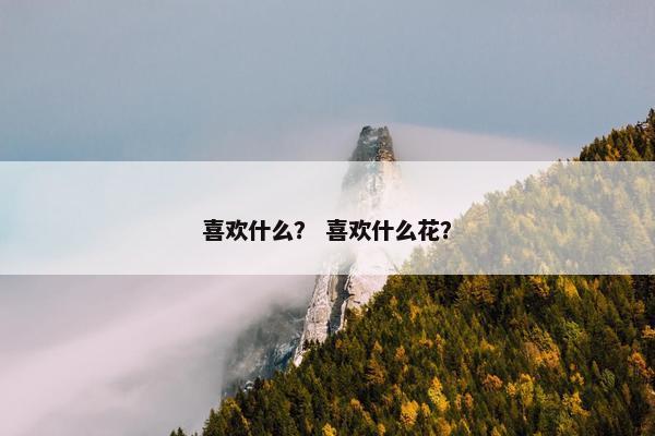 喜欢什么？ 喜欢什么花？