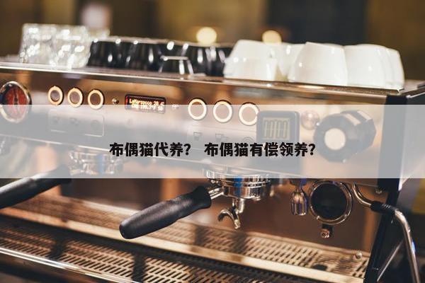 布偶猫代养？ 布偶猫有偿领养？