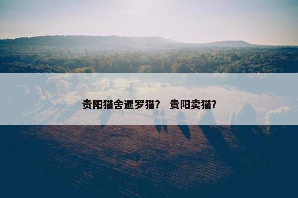 贵阳猫舍暹罗猫？ 贵阳卖猫？