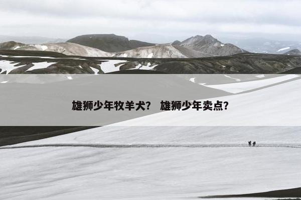 雄狮少年牧羊犬？ 雄狮少年卖点？