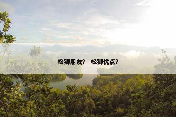 松狮朋友？ 松狮优点？