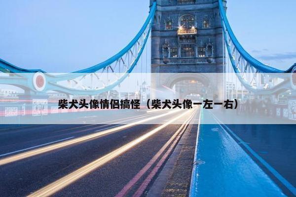 柴犬头像情侣搞怪（柴犬头像一左一右）