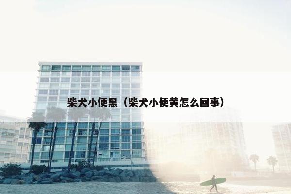 柴犬小便黑（柴犬小便黄怎么回事）
