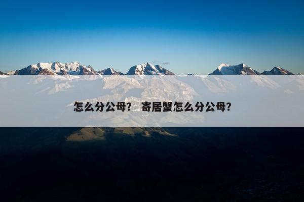 怎么分公母？ 寄居蟹怎么分公母？