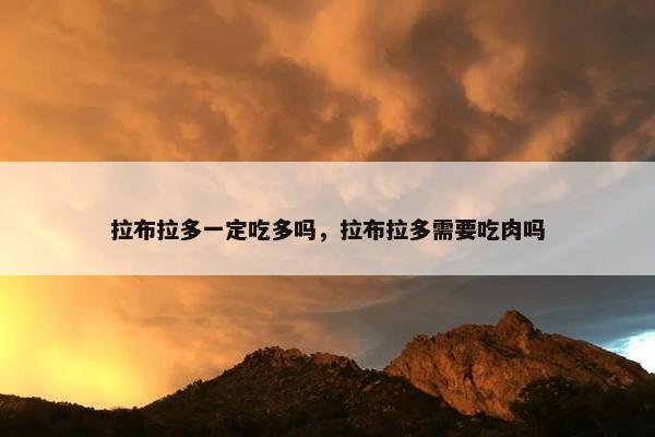 拉布拉多一定吃多吗，拉布拉多需要吃肉吗