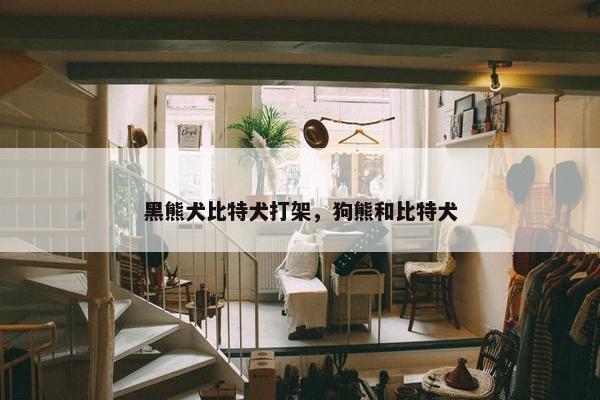 黑熊犬比特犬打架，狗熊和比特犬