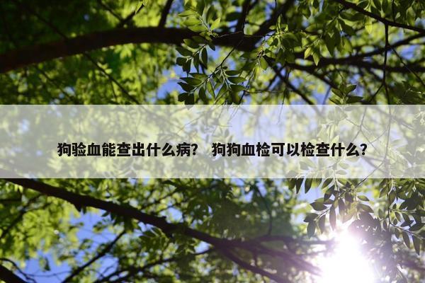 狗验血能查出什么病？ 狗狗血检可以检查什么？