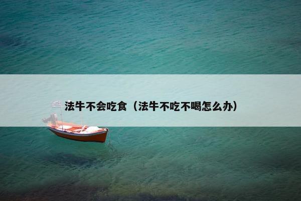 法牛不会吃食（法牛不吃不喝怎么办）