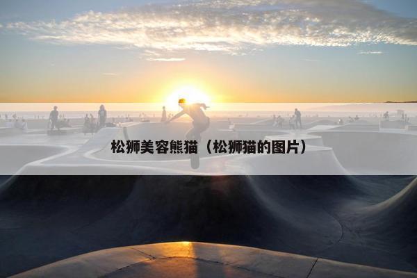 松狮美容熊猫（松狮猫的图片）