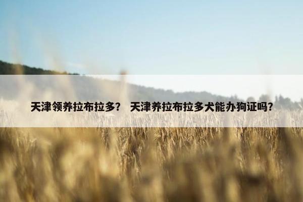 天津领养拉布拉多？ 天津养拉布拉多犬能办狗证吗？