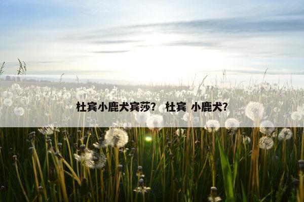 杜宾小鹿犬宾莎？ 杜宾 小鹿犬？