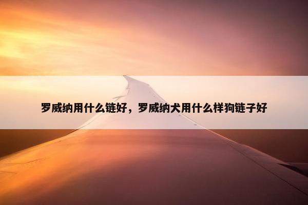 罗威纳用什么链好，罗威纳犬用什么样狗链子好