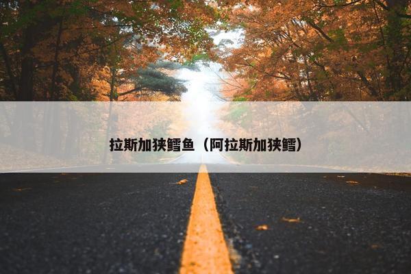 拉斯加狭鳕鱼（阿拉斯加狭鳕）