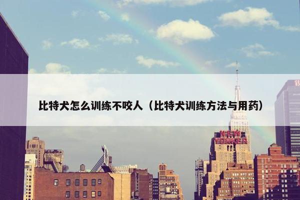 比特犬怎么训练不咬人（比特犬训练方法与用药）