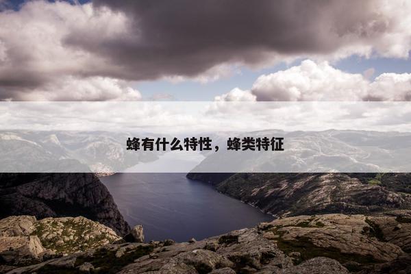 蜂有什么特性，蜂类特征