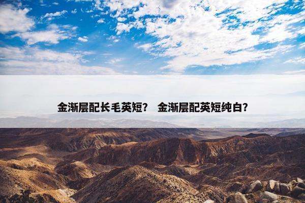 金渐层配长毛英短？ 金渐层配英短纯白？