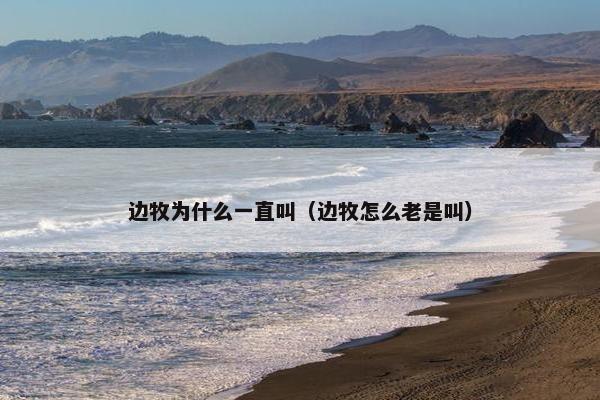 边牧为什么一直叫（边牧怎么老是叫）