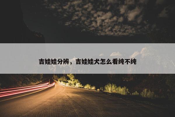 吉娃娃分辨，吉娃娃犬怎么看纯不纯